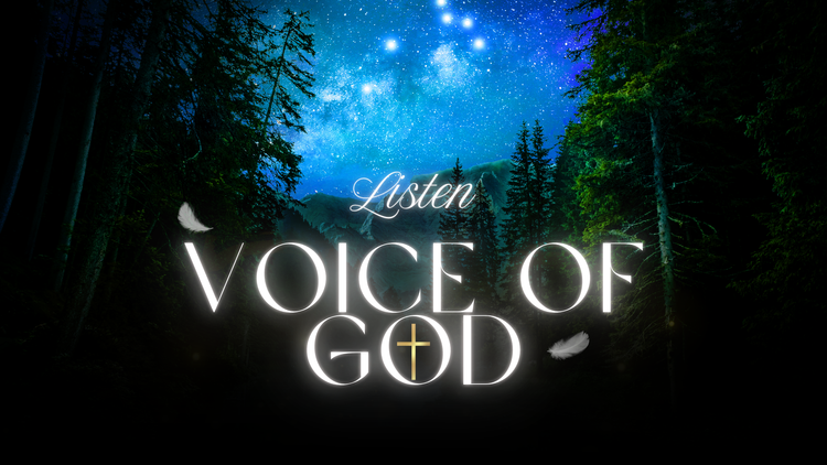 The Voice