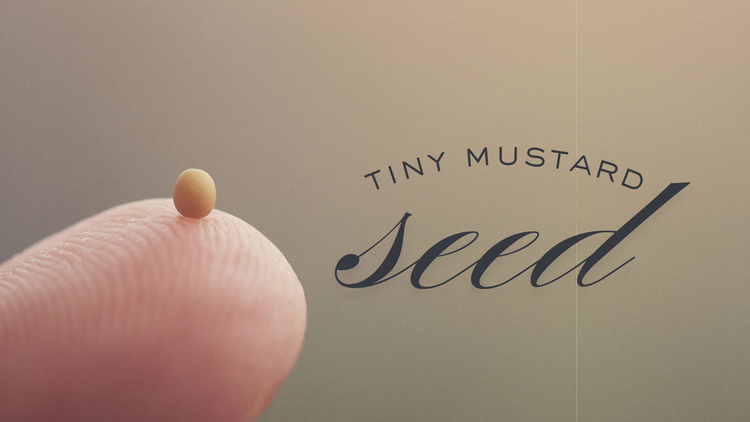 Tiny Mustard Seed